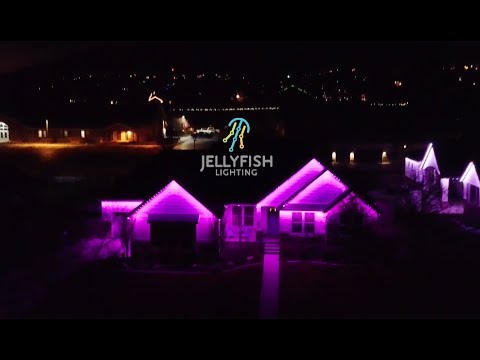 Jellyfish Lighting System